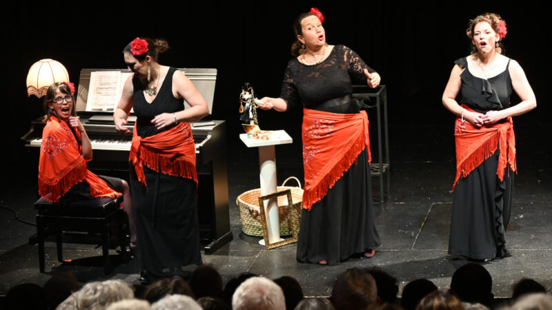 09_Petitspotinslyriques©